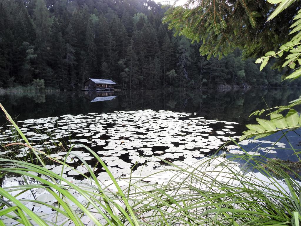 Gasthof Piburger See Oetz Exterior foto